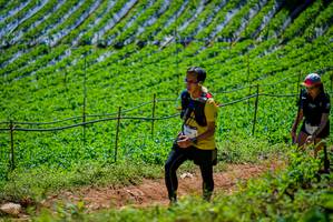 BIB: 
                            <button type="button" onclick="openModal(19164605)" class="btn btn-primary btn-sm float-right btn-popup" data-toggle="modal" data-target=".modal-high-quality">
                        <i class="fas fa-shopping-cart"></i> Add to Cart
                    </button>
                                            <button type="button" onclick="isThisMe(19164605, true)" class="btn btn-success btn-sm float-right btn-popup btn-isme hidden" data-toggle="tooltip" data-placement="bottom" title="นี่คือรูปของคุณใช่ไหม คลิกที่นี่เพื่อเอาเข้าอัลบั้ม">
                        <i class="fas fa-plus"></i> Add to album
                    </button>
                    <button type="button" onclick="isThisMe(19164605, false)" class="btn btn-warning btn-sm float-right btn-popup btn-isnotme hidden">
                        <i class="fas fa-ban"></i> Remove from album
                    </button>